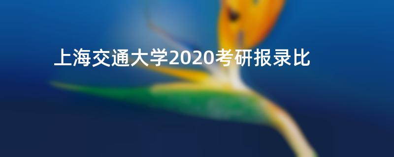 上海交通大学2020考研报录比