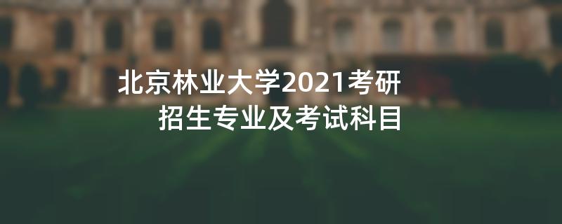 北京林业大学2021考研招生专业及考试科目