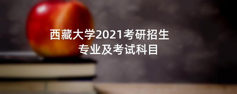 西藏大学2021考研招生专业及考试科目
