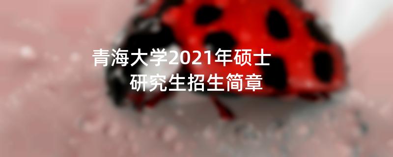 青海大学2021年硕士研究生招生简章