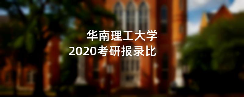 华南理工大学2020考研报录比