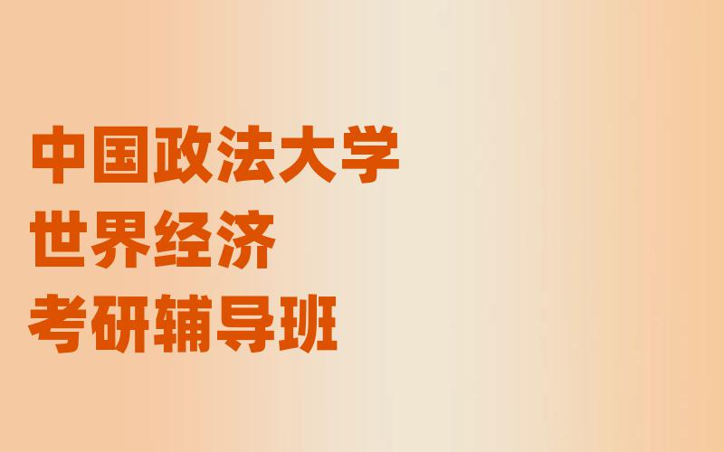 中国政法大学世界经济考研辅导班