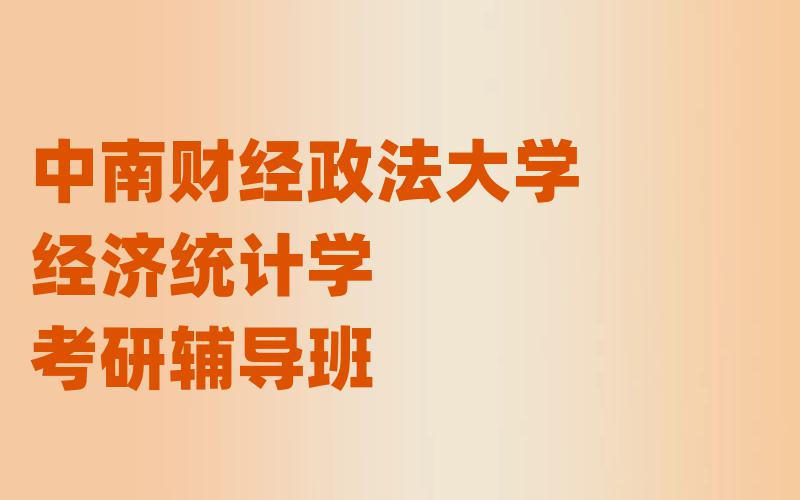 中南财经政法大学经济统计学考研辅导班