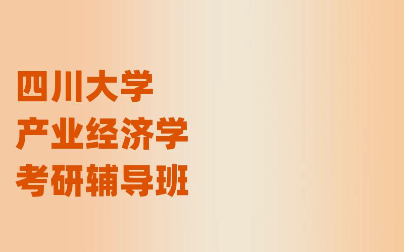 四川大学产业经济学考研辅导班