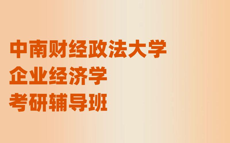 中南财经政法大学企业经济学考研辅导班